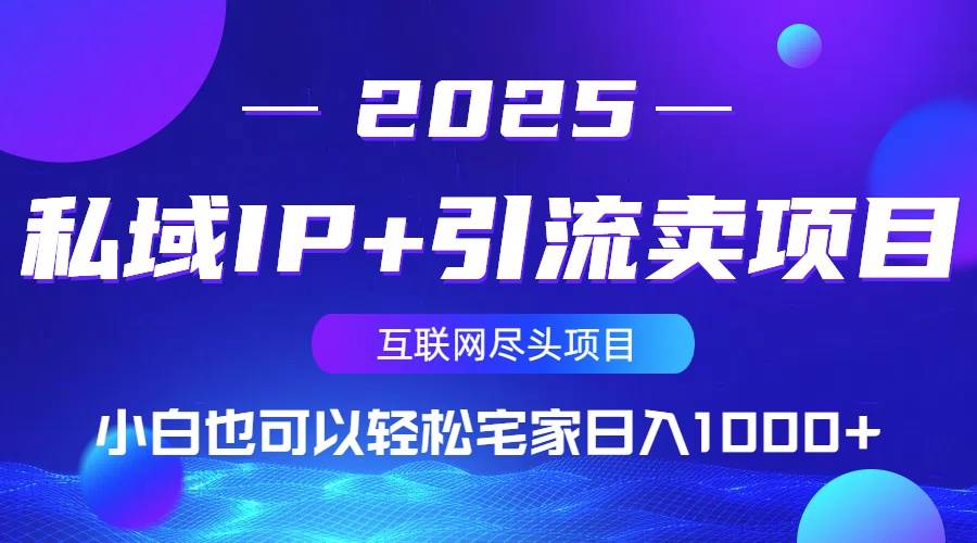 (14151期)私域IP+引流卖项目,小白也可以做到轻松宅家日入1000+-网赚副业网