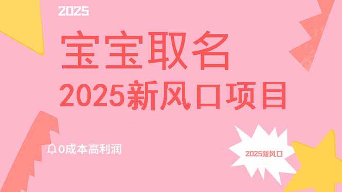 (14593期)2025新风口项目宝宝取名,0成本高利润,附保姆级教程,月入过万不是梦-网赚副业网