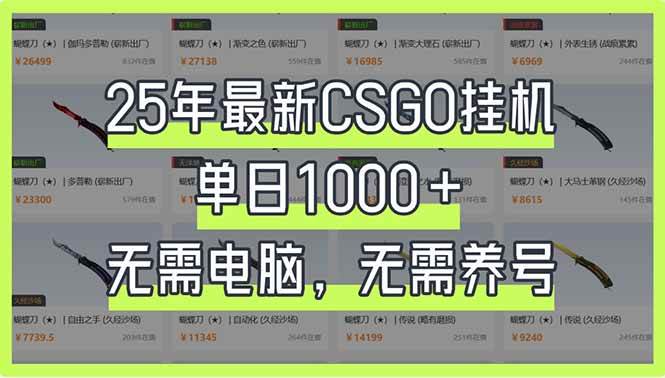 (14178期)25年最新CSGO挂机系统,单日1000+,无需电脑,无需养号,0基础可上手-网赚副业网