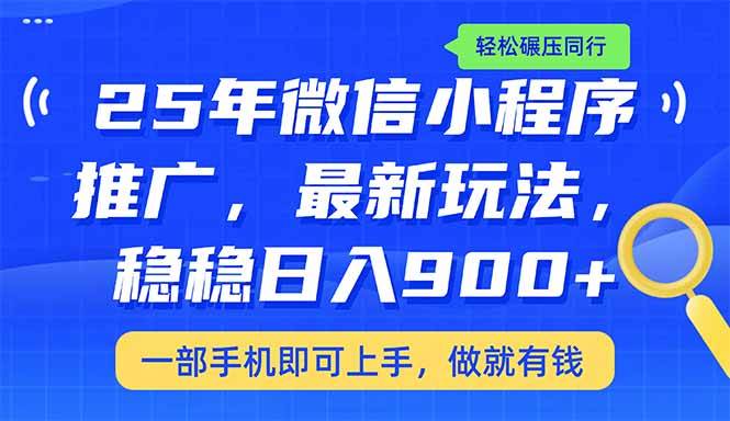 (14411期)25年最新小程序推广教学,稳定日入900+,轻松碾压同行-网赚副业网