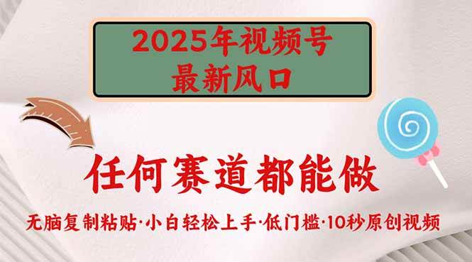(14453期)2025年视频号新风口,低门槛只需要无脑执行-网赚副业网