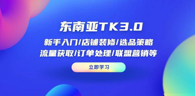 (14208期)东南亚TK3.0:新手入门/店铺装修/选品策略/流量获取/订单处理/联盟营销等-网赚副业网