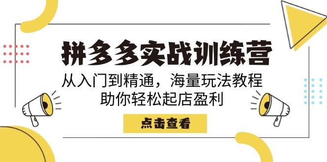(14392期)拼多多实战训练营,从入门到精通,海量玩法教程,助你轻松起店盈利-网赚副业网