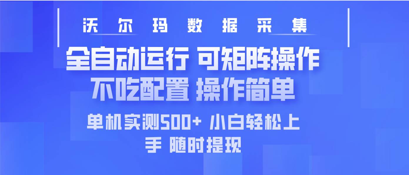 (14560期)最新沃尔玛平台采集 全自动运行 可矩阵单机实测500+ 操作简单-网赚副业网