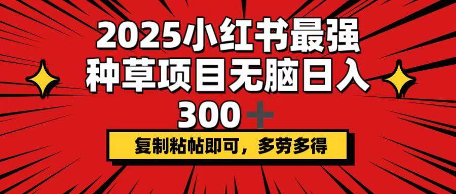 (14375期)2025小红书最强种草项目,无脑日入300+,复制粘帖即可,多劳多得-网赚副业网