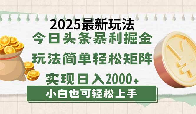 (14120期)今日头条2025最新玩法,思路简单,复制粘贴,轻松实现矩阵日入2000+-网赚副业网
