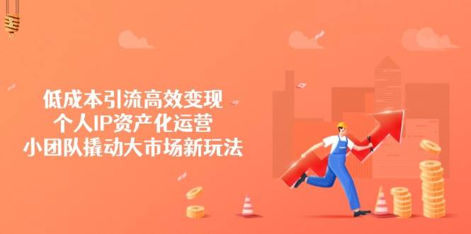 (14555期)低成本引流高效变现,个人IP资产化运营,小团队撬动大市场新玩法-网赚副业网