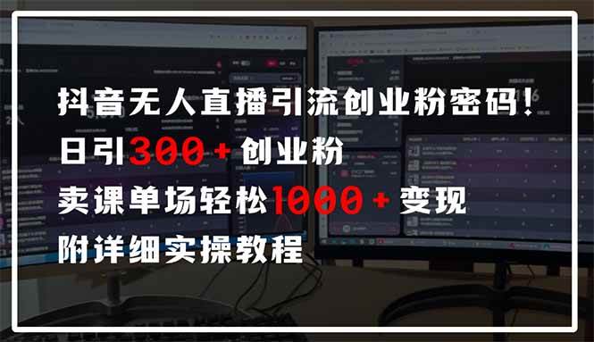 （14564期）抖音无人直播引流密码！日引300+创业粉 单场轻松1000+变现 附详细实操教程-网赚副业网