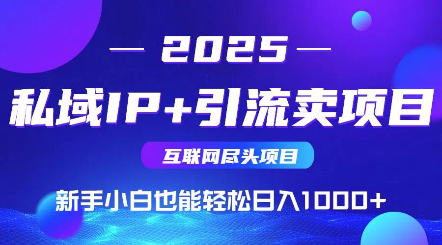 (14613期)私域IP+卖项目,普通人小白也能轻松实现日入1000+-网赚副业网
