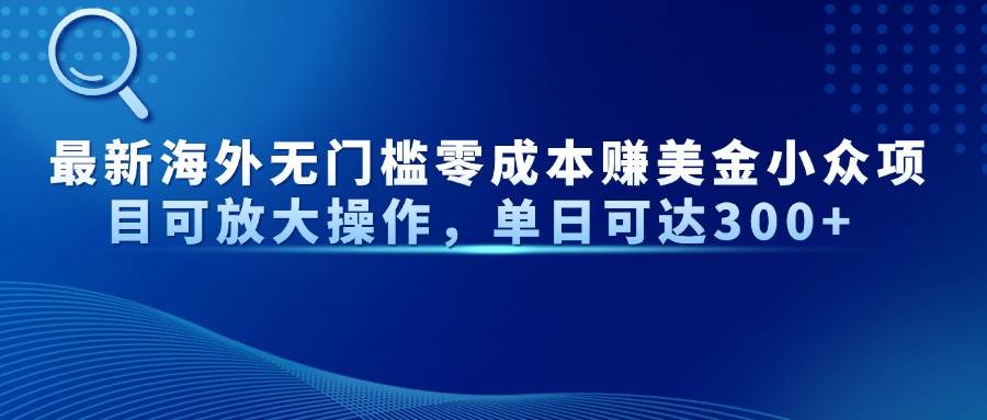 (14542期)最新海外无门槛零成本赚美金小众项目可放大操作,单日可达300+-网赚副业网