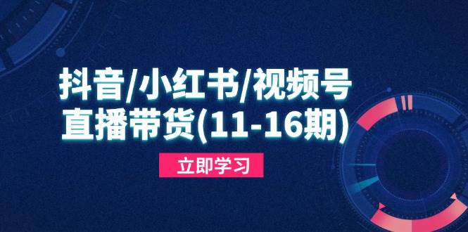 (14611期)抖音/小红书/视频号/直播带货(11-16期),快速掌握平台规则,打造爆款内容-网赚副业网