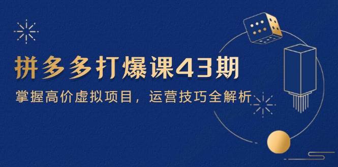 (14546期)拼多多打爆课第 43 期,掌握高价虚拟项目,运营技巧全解析(15节)-网赚副业网
