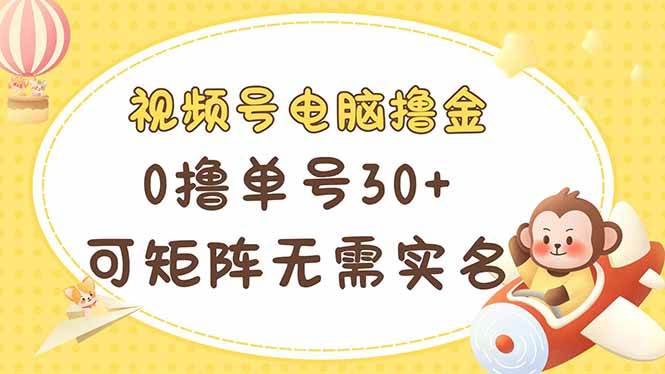 （14220期）视频号电脑撸金 0撸单号30+ 可矩阵 无需实名多号多得-网赚副业网
