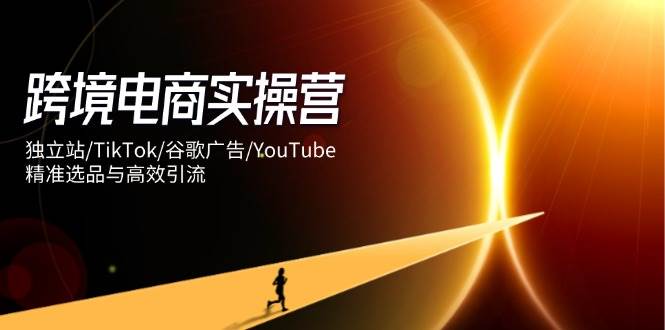 （14419期）跨境电商实操营：独立站/TikTok/谷歌广告/YouTube，精准选品与高效引流-网赚副业网