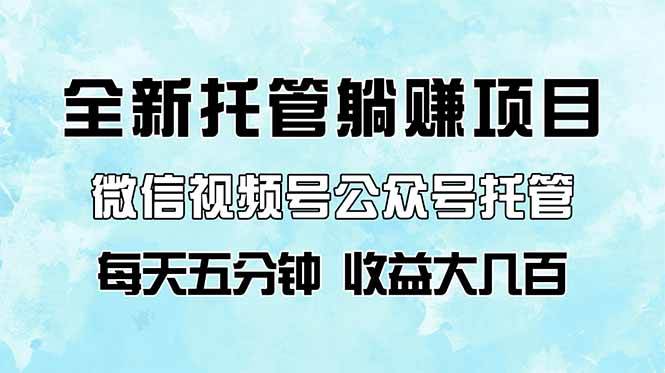(14425期)全新托管躺赚项目,微信视频号公众号托管代运营,每天五分钟,收益大几百-网赚副业网
