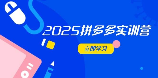 (14531期)2025拼多多实训营:深度剖析运营关键,助力电商人快速提升-网赚副业网