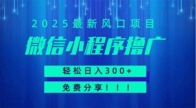 （14375期）微信小程序撸广，最新风口项目，日入300+ 免费分享 可批量操作 小白可...-网赚副业网