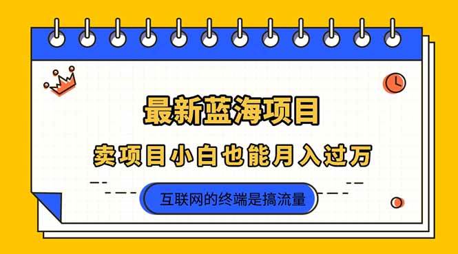 (14289期)2025年最新蓝海项目,卖项目小白也能月入过万-网赚副业网