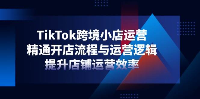 (14369期)TikTok跨境小店运营,精通开店流程与运营逻辑,提升店铺运营效率-网赚副业网