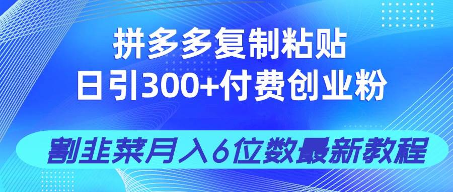 (14232期)拼多多复制粘贴日引300+付费创业粉,割韭菜月入6位数最新教程!-网赚副业网