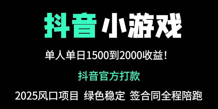 (14527期)抖音官方小游戏2025全网最新玩法,暴利赚钱项目,单机日入2000+,绝不...-网赚副业网