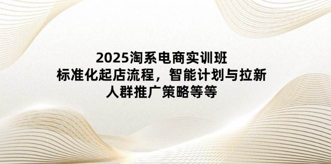 （14522期）2025淘系电商实训班：标准化起店流程，智能计划与拉新，人群推广策略等等-网赚副业网