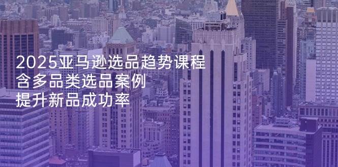 (14434期)2025亚马逊选品趋势课程,含多品类选品案例,提升新品成功率-网赚副业网
