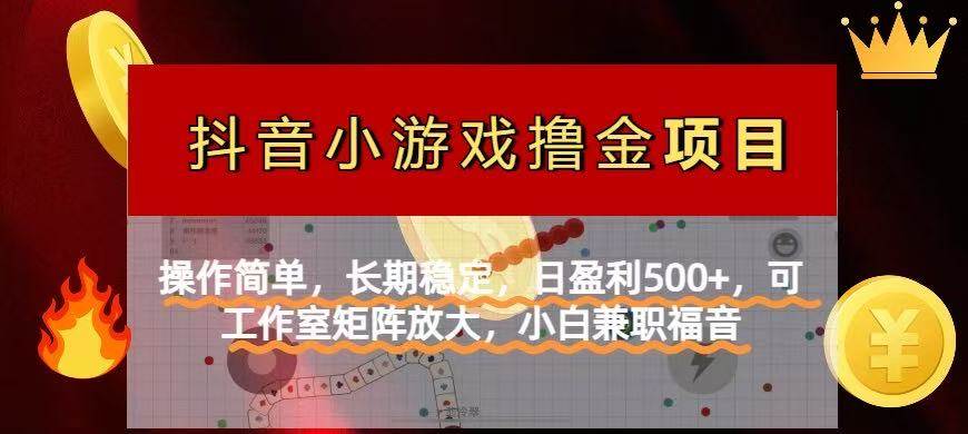 (14290期)【抖音小游戏发行人计划项目】操作简单,长期稳定,日盈利500+,可工作...-网赚副业网