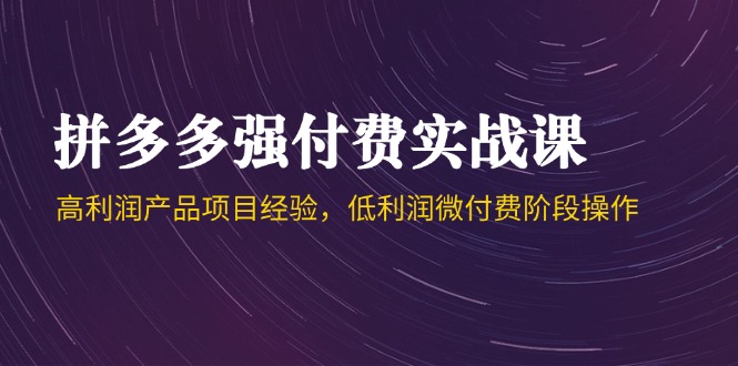 (14874期)拼多多强付费实战课-44期,高利润产品项目经验,低利润微付费阶段操作-网赚副业网