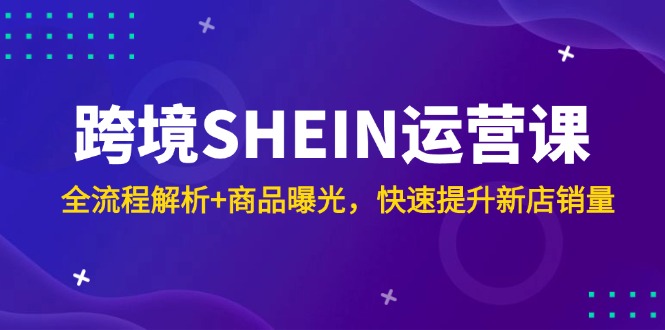 (14832期)跨境SHEIN运营课,全流程解析+商品曝光,快速提升新店销量-网赚副业网