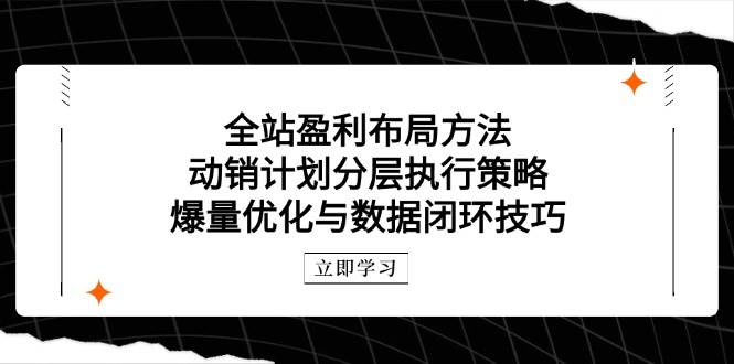 (14698期)全站盈利布局方法:动销计划分层执行策略,爆量优化与数据闭环技巧-网赚副业网