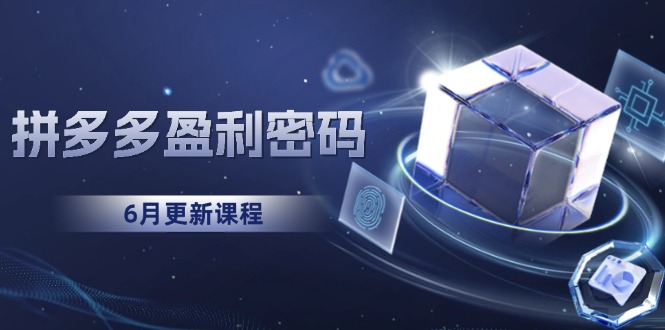 (15005期)拼多多盈利密码:从烧钱推广到印钞模型,底层逻辑重构指南(6月更新)-网赚副业网