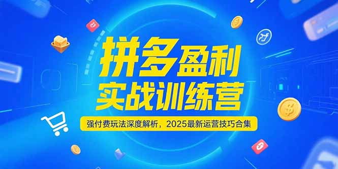 (15183期)拼多多盈利实战训练营,强付费玩法深度解析,2025运营技巧合集-更新6月-网赚副业网