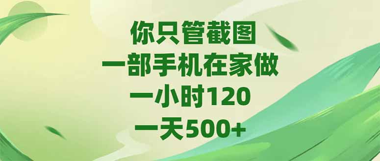 (15039期)你只管截图,一部手机在家做,一小时120,-天500+-网赚副业网