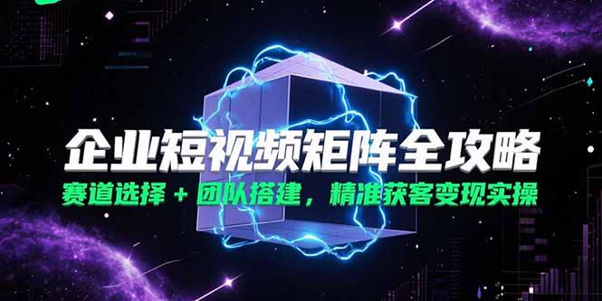 (15242期)企业短视频矩阵全攻略,赛道选择+团队搭建,精准获客变现实操-网赚副业网