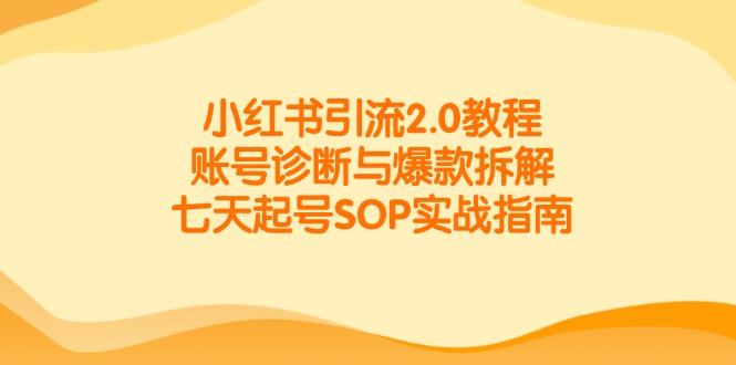 (14981期)小红书引流2.0教程,账号诊断与爆款拆解,七天起号SOP实战指南-网赚副业网