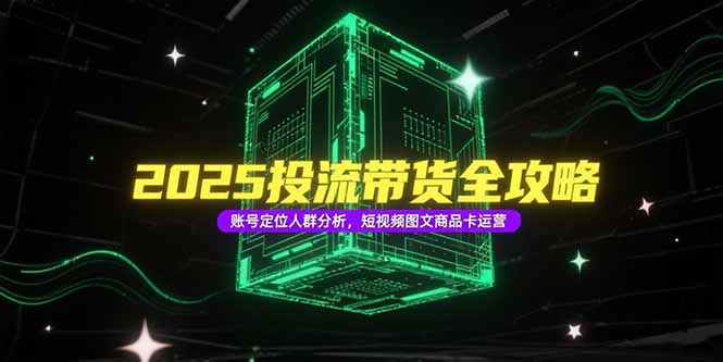 (15233期)2025投流带货全攻略,账号定位人群分析,短视频图文商品卡运营-网赚副业网