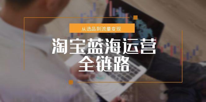 (15160期)淘宝蓝海运营全链路,从选品到流量变现,小类目突围完整方案-网赚副业网