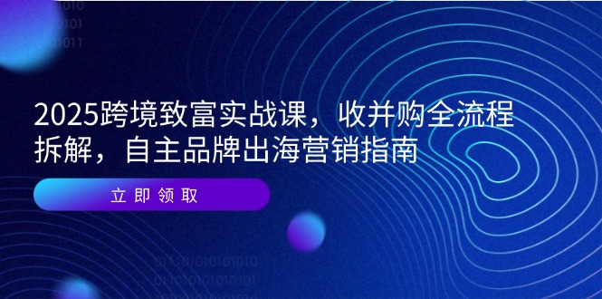 (14975期)2025跨境致富实战课,收并购全流程拆解,自主品牌出海营销指南-网赚副业网