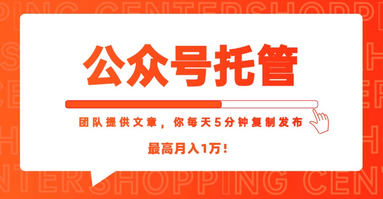 (15109期)【公众号托管 】我提供文章,你每天5分钟复制发布,最高月入1W-网赚副业网