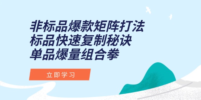 (15068期)非标品爆款矩阵打法,标品快速复制秘诀,单品爆量组合拳-网赚副业网