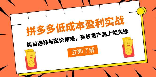 (15143期)拼多多低成本盈利实战,类目选择与定价策略,高权重产品上架实操-网赚副业网