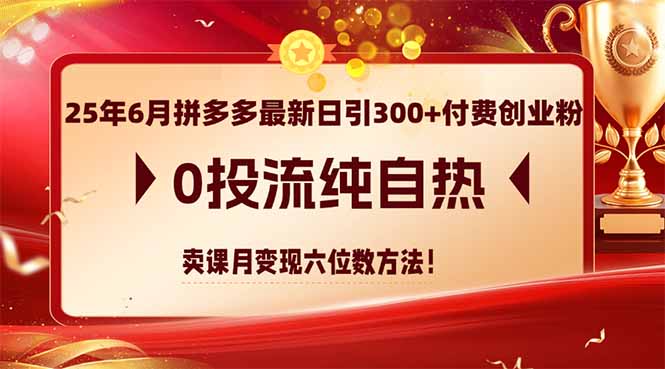 (14989期)25年6月拼多多最新日引300+付费创业粉,0投流纯自热 卖课月变现六位数方法-网赚副业网