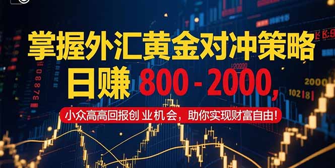 (15198期)掌握外汇黄金对冲策略,日赚 800 - 2000,小众高回报创业机会,助你实...-网赚副业网