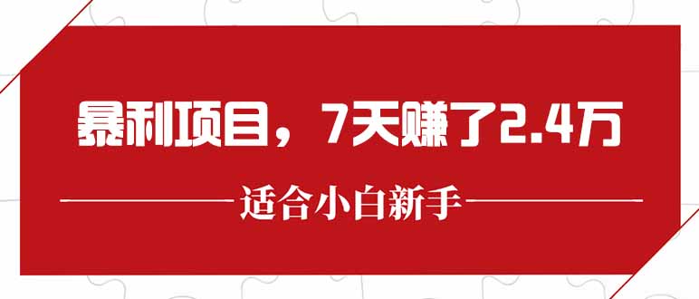 (15228期)最新暴利项目,每单收益轻松在300以上,7天赚了2.4万-网赚副业网