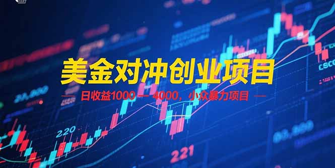 (15187期)美金对冲创业项目,日收益 1000 – 4000,小众暴力项目-网赚副业网