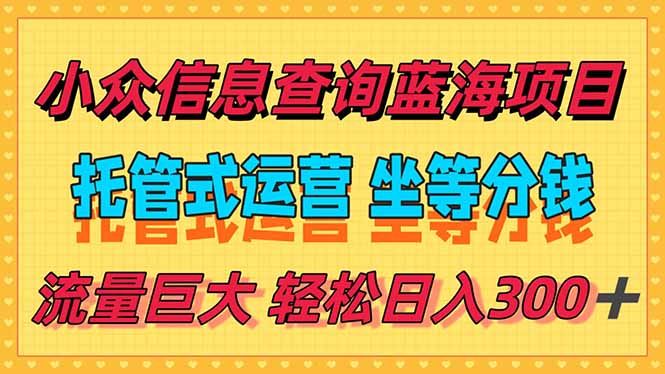(15216期)稳定日入300+,小众信息查询蓝海项目,全程懒人式托管,解放你的时间-网赚副业网