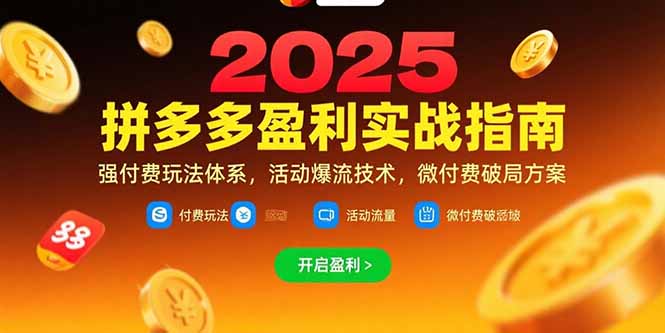 (15357期)拼多多盈利实战指南,强付费玩法,活动爆流技术,微付费破局方案(更新7月)-网赚副业网