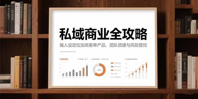 (15294期)私域商业全攻略,强人设定位加高客单产品,团队搭建与风险管控-网赚副业网