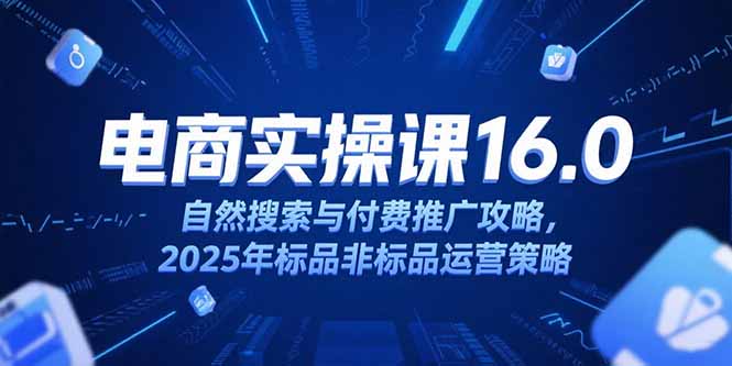 （15262期）淘宝电商运营课16.0，自然搜索与付费推广攻略，2025年标品非标品运营策略-网赚副业网